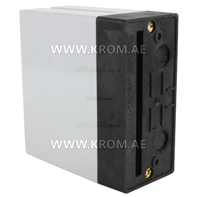 Honeywell R4343E1006 flame switch