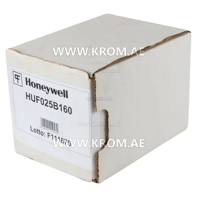 Honeywell HUF025B160 1" gas filter for 6 bar pressure