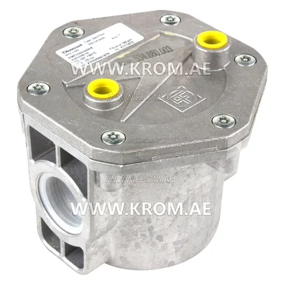 Honeywell HUF025B160 1" gas filter for 6 bar pressure