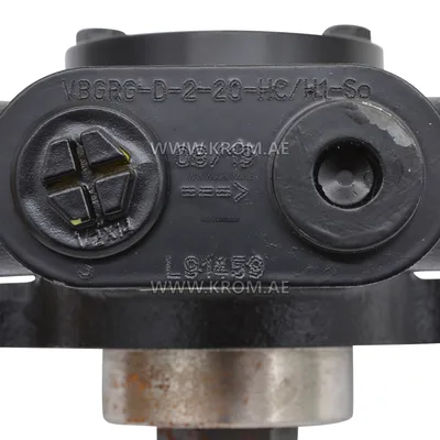hp-Technik VBGRG-D-2-20-HC/H1-So oil pump