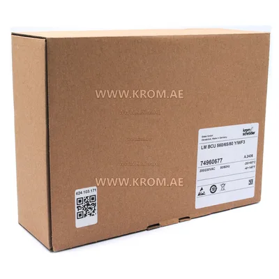 Kromschroeder 74960677 BCU560/565/580 Y/W F3  L-Module