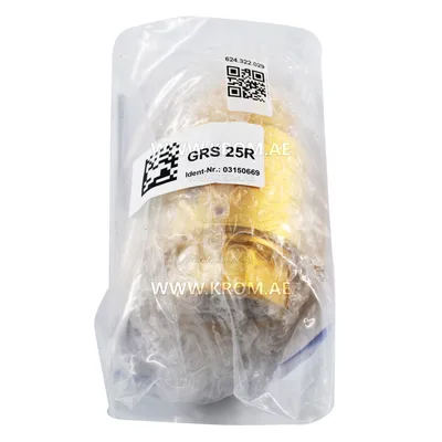 Kromschroeder GRS25R (03150669) non-return gas valve