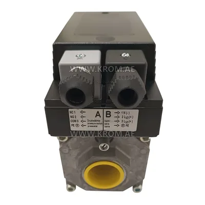Kromschroder 84741254 CG225R01-VT2WF1 gas valve