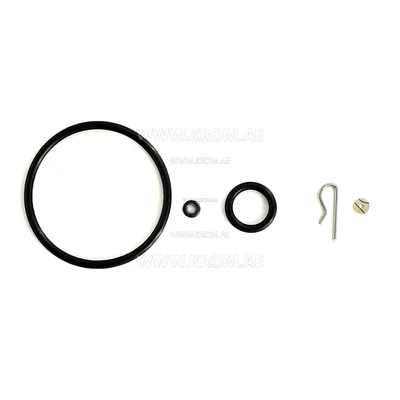 Kromschroeder 74924650 VGBF/GIK/VAR65 /B seal set