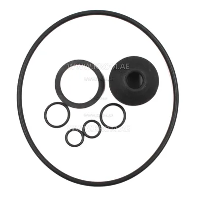 Kromschroeder (03351061) seal set JSAV50-80../1 /B