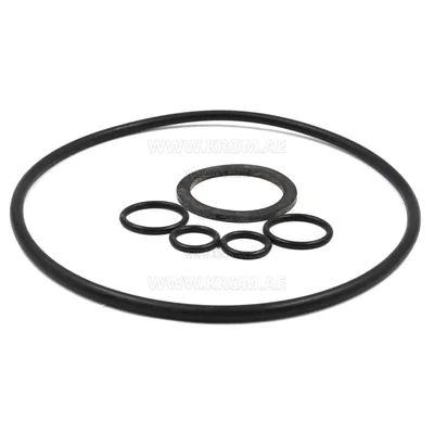 Kromschroeder (03351061) seal set JSAV50-80../1 /B