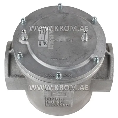 Kromschroeder GFK65R10-6 (81941090) gas filter