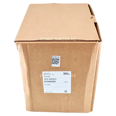 Kromschroeder GFK 50R40-6 (81940200) gas filter