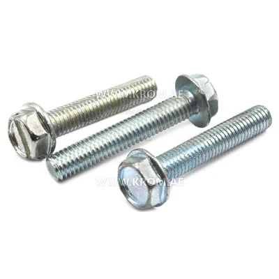 Master 4108.528 screw
