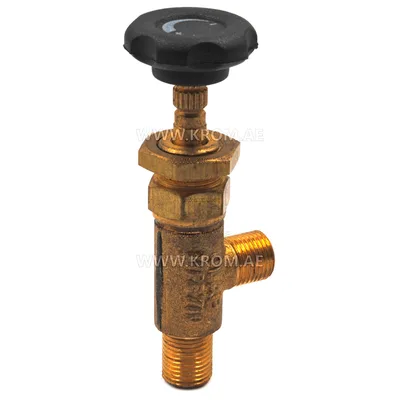Master 4160.884 gas valve