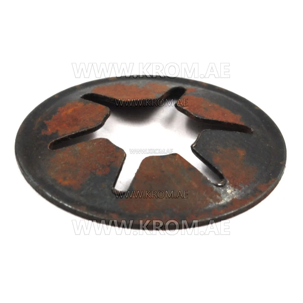 Master 4160.627 elastic washer