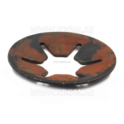 Master 4160.627 elastic washer
