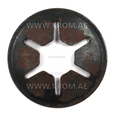 Master 4160.627 elastic washer