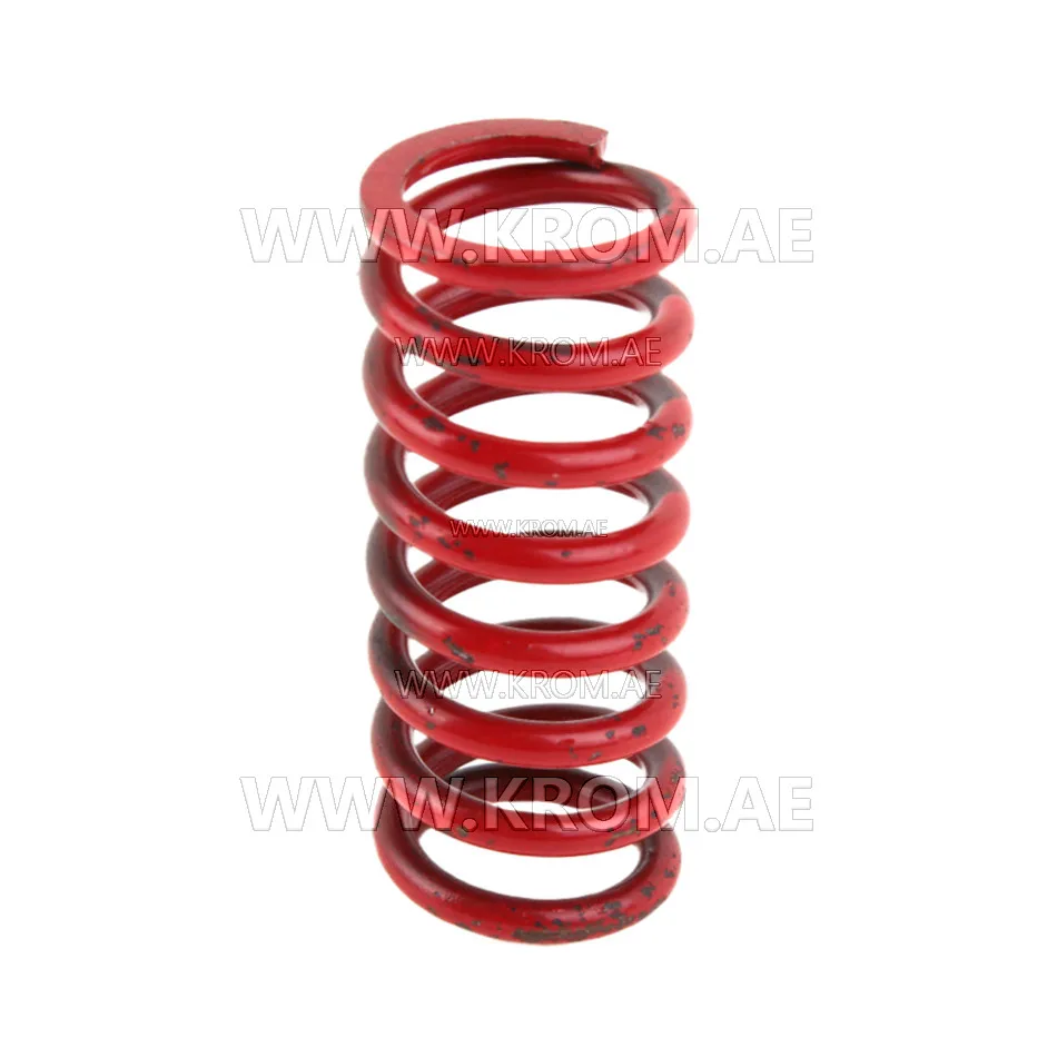 Siemens AGA23 spring
